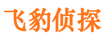 高阳侦探公司